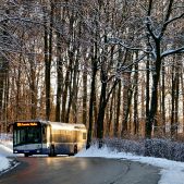 Solaris Urbino 12 #DU310