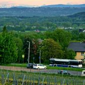 Solaris Urbino 12 #DU319