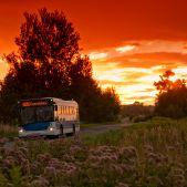 Solaris Urbino 12 #DU899
