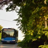 Solaris Urbino 12 #BU801