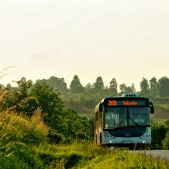 Solaris Urbino 12 #PU919