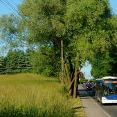 Solaris Urbino 12 #PU933