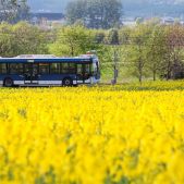 Solaris Urbino 12 #PU935