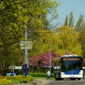 Solaris Urbino 12 #PU944