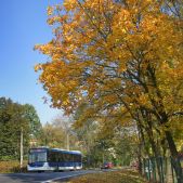 Solaris Urbino 12 #PU976