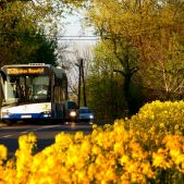 Solaris Urbino 12 #PU995