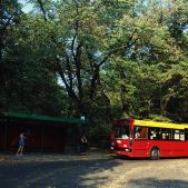 Jelcz M121M #2176