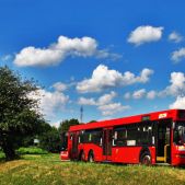 Neoplan N4020 #2194