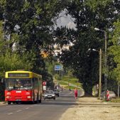 Jelcz M181M #2251