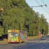 Jelcz M11 #2110