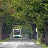 Mercedes O405N2 #2272