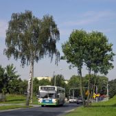 Mercedes O405N2 #2277