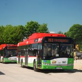 Solaris Trollino 12 #3887