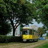 Tatra KT4DtM #113