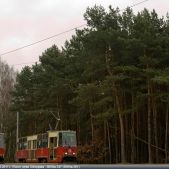 Konstal 805Na #247