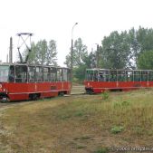Konstal 805Na #231