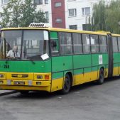 Ikarus 280.26 #244