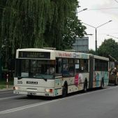 Jelcz M181MB #225
