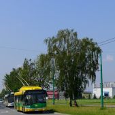 Solaris Trollino 12MB #31