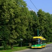 Solaris Trollino 12MB #26