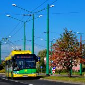 Solaris Trollino 12 #39