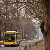 Mercedes O530 #7344
