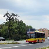 Solaris Alpino 8,6 #4506