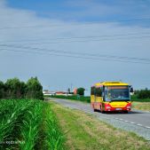 SOR CN12 #505