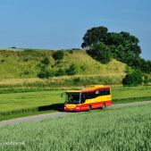 SOR BN8,5 #524