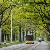 Mercedes O530 #7903