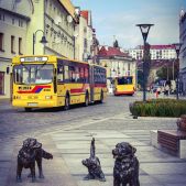 Jelcz M181MB #8500