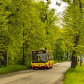 Mercedes O530 #7335