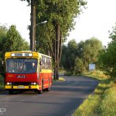 Jelcz 120MM/1 #9017