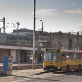 Jelcz M180 #8003