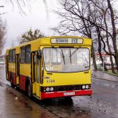 Jelcz M11 #6124