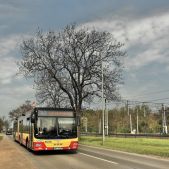 MAN Lion's City G #4626