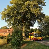 SOR CN12 #502