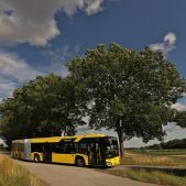 Solaris Urbino 18 #199