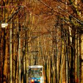 Konstal 105NWr #2218+2219