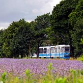 Konstal 105NWr #2208+2209