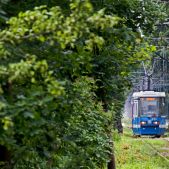 Konstal 105NWr #2380+2379