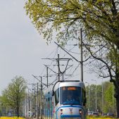 Skoda 19T #3101