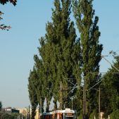 Konstal 105NWr #2510+2509