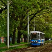 Konstal 105NWr #2442+2443