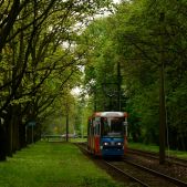 Konstal 105NWr #2450+2449