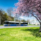 Solaris Urbino 18 #DR540