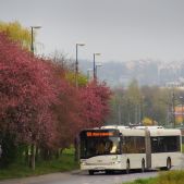 Solaris Urbino 18 #MR911