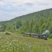 U34-901