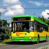 Jelcz M121MB #015