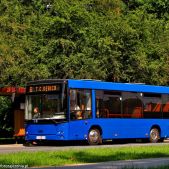 MAZ 206 #7EK T 1218